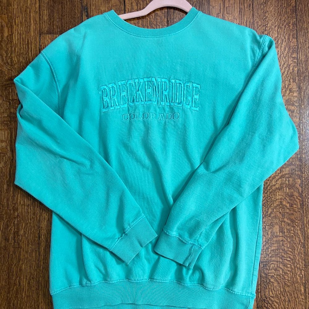 Oversized Breckenridge Sweatshirt-- size L-- mint green